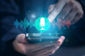 voice search 